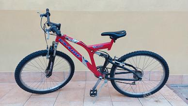 mountain bike ammortizzata