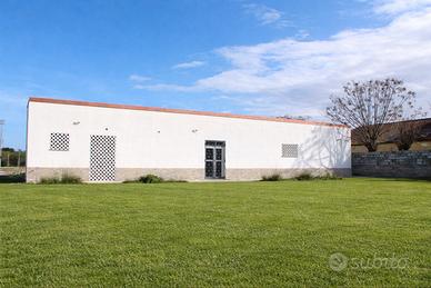 Locale commerciale D/6 con ampio giardino, Alghero