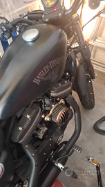 Splendida Harley Davidson XL 883 N.Valuto proposte