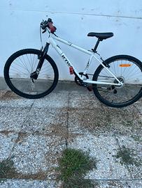 bicicletta mountain bike bambino 24”