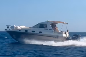 Salpa Laver 30