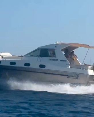 Salpa Laver 30
