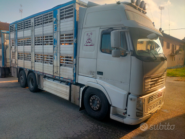 Autocarro trasporto animali