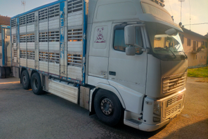 Autocarro trasporto animali