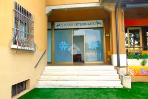 NEGOZIO A BAGNOLO MELLA