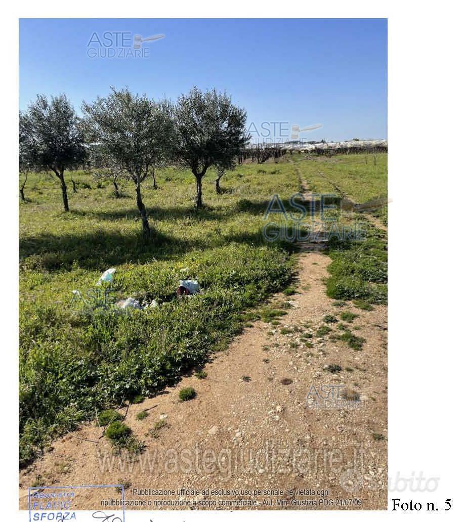 Terreno Agricolo Mola di Bari [A4294260] - Altro