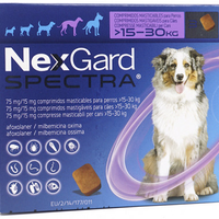 Pastiglie antipulci per cani