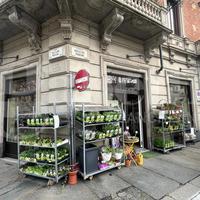 Attività Commerciale Torino [Cod. rif 3300162VCG]