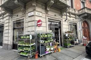 Attività Commerciale Torino [Cod. rif 3300162VCG]