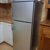 Frigorifero con zona congelatore