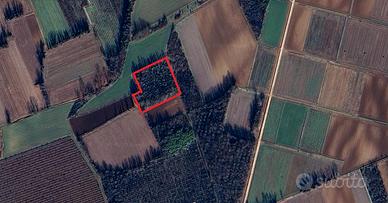 Terreno agricolo Bicinicco