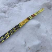 Sci Fondo Skating Fischer RCS