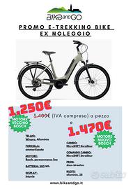 E-Trekking Bike Winora  Tria 10 ex noleggio