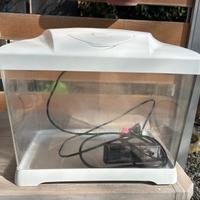 Acquario per pesci rossi