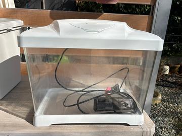 Acquario per pesci rossi