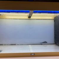 Acquario juwel rio 180 l