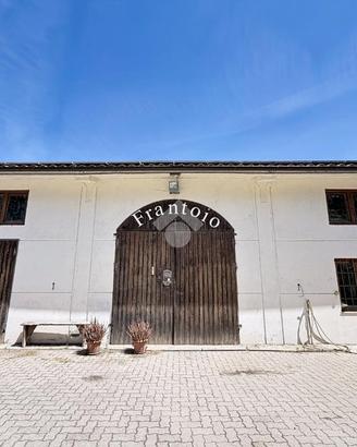 CAPANNONE A ROSIGNANO MARITTIMO