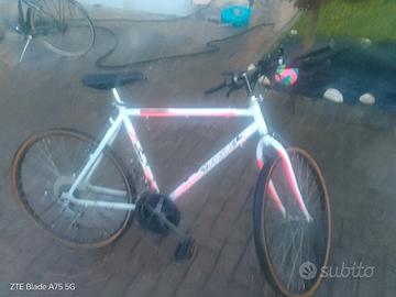 bici ragazzo