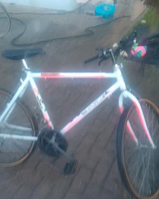 bici ragazzo