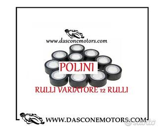 Rulli Variatore Tmax Polini 12 rulli