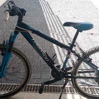 Bicicletta ragazzo MTB 24