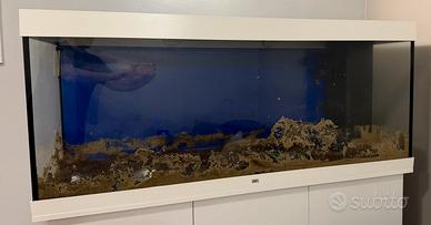 VASCA ACQUARIO JUWELL RIO 450 LED