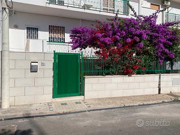 Appartamento indipendente arredato a santo spirito