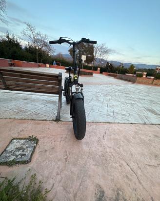 Bici elettrica
