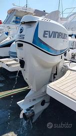 Evinrude E-TEC 115