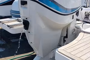 Evinrude E-TEC 115