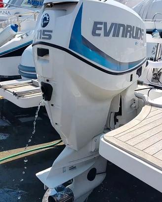 Evinrude E-TEC 115