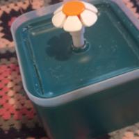 fontanella automatica per gatti