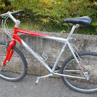 bicicletta