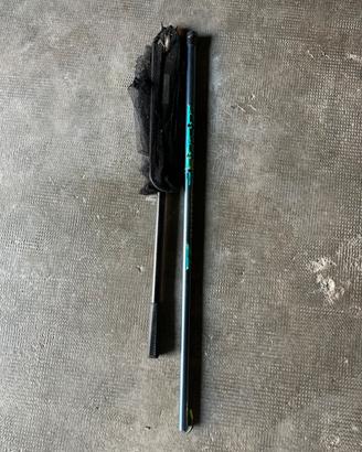 Canna da pesca e guadino