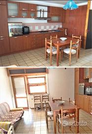 Ippocampo - primo piano