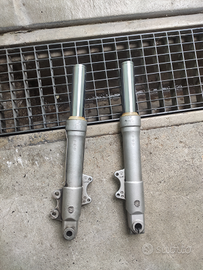 Forcelle phantom f12