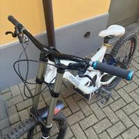 Mtb specialized Full Demo DH