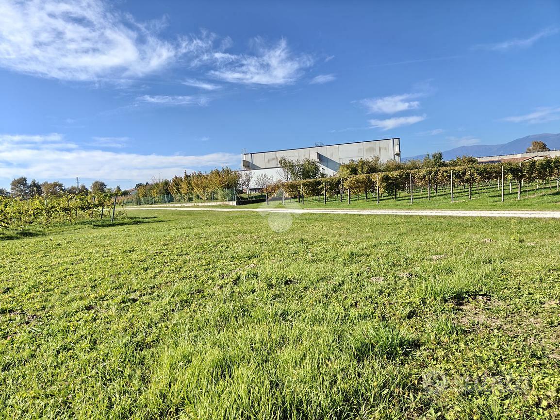 TER. RESIDENZIALE A GAIARINE - Vista 5
