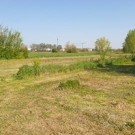 terra per coltivare agricola