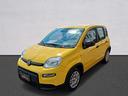 fiat-panda-1-0-hybrid-pandina-km-0-da-184-00-al