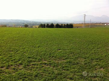 AGRICOLO - Benevento