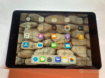 iPad Mini 2 Wi-Fi e Cell.