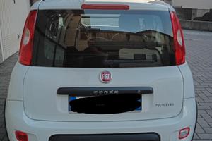 Fiat Panda Hybrid cilindrata 1.0 benzina
