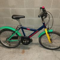 Bicicletta da 20 pollici