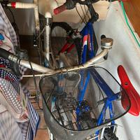 Bici usate