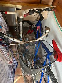 Bici usate