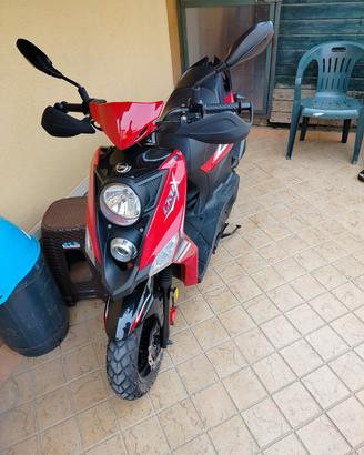 sym crox 50 euro 5 2023