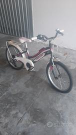 Bicicletta Casadei