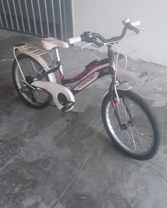 Bicicletta Casadei