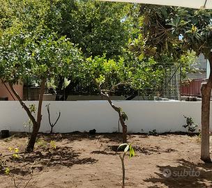 Tutto fare catania e provincia